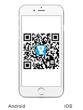 APP Download and Installation