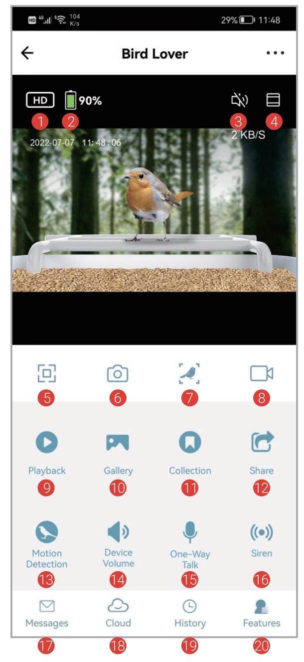 Bird Lover APP INTERFACE INTRODUCTION