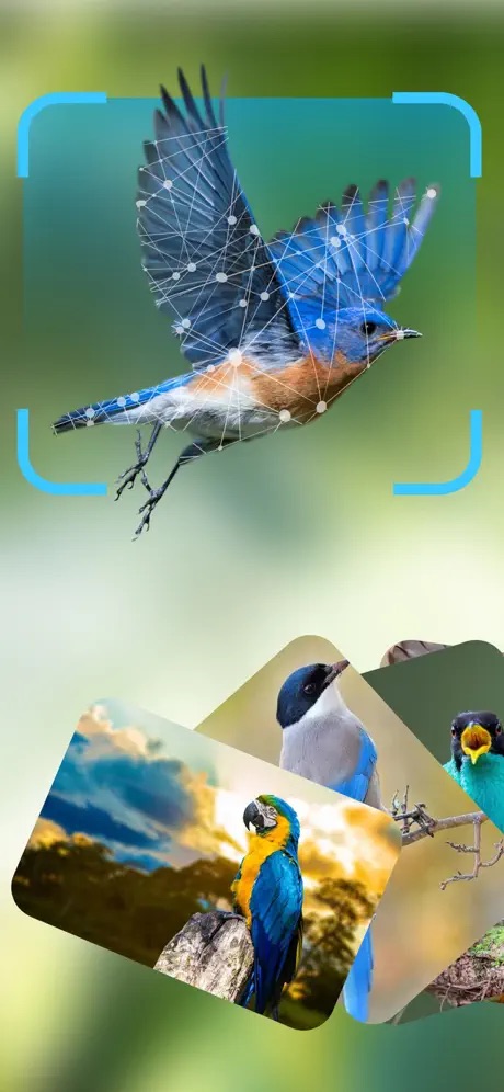 Bird lover app