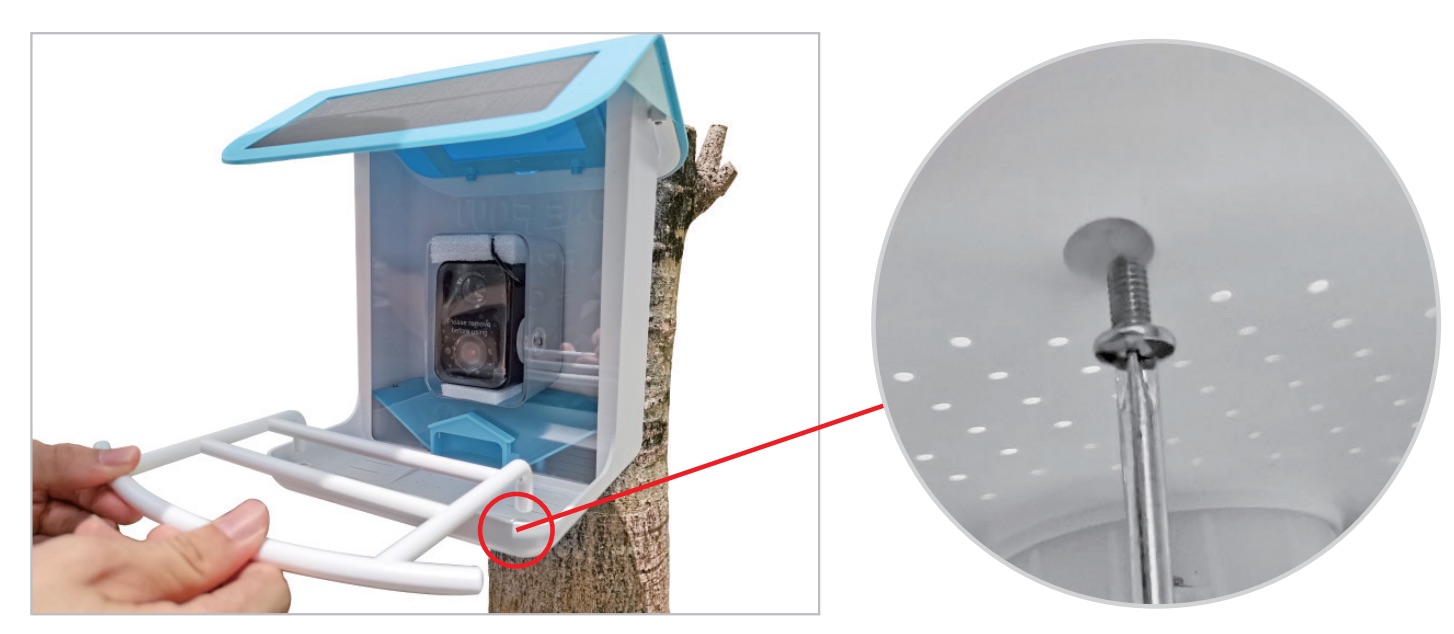 Install Bird Feeder Camera